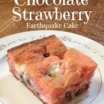 Chocolate Strawberry Earthquake Cake