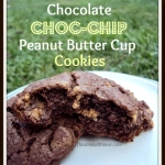 Chocolate Choc-Chip Peanut Butter Cup Cookies
