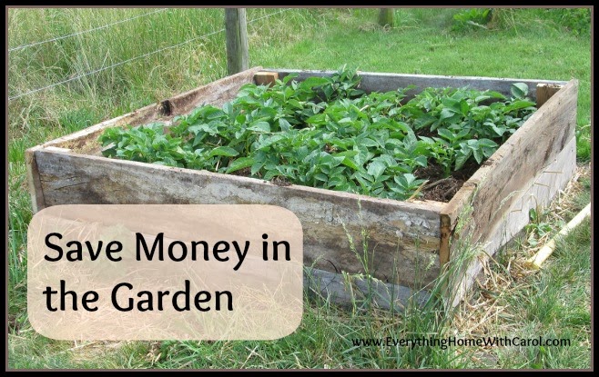 http://everythinghomewithcarol.com/start-now-save-money-garden/
