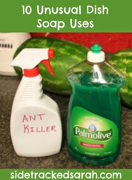 http://www.sidetrackedsarah.com/2014/08/10-unusual-dish-soap-uses-palmolive25ways-cbias/