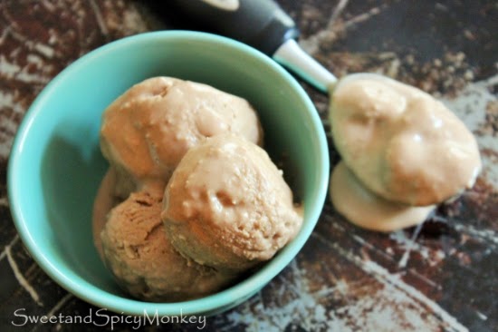 http://sweetandspicymonkey.blogspot.com/2014/08/chocolate-almond-toasted-coconut-froyo.html