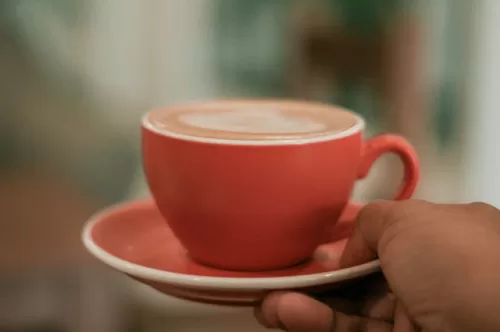 Comparison of a foamy cappuccino and a milky latte in ceramic mugs.