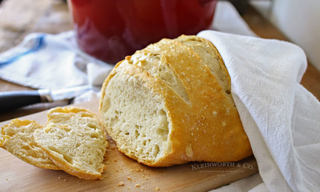 Featuring You ~ Incredibly Easy Crusty Artisan Bread