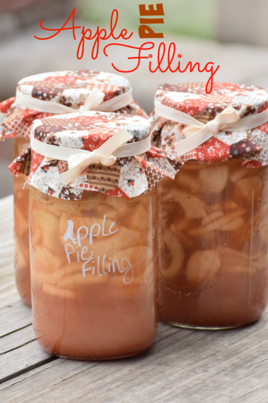 Homemade Apple Pie Filling to Can