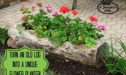 Featuring You ~ Making a Log Planter for Flowers