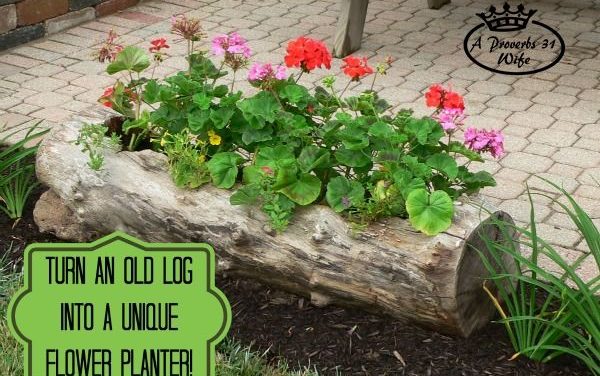 Featuring You ~ Making a Log Planter for Flowers