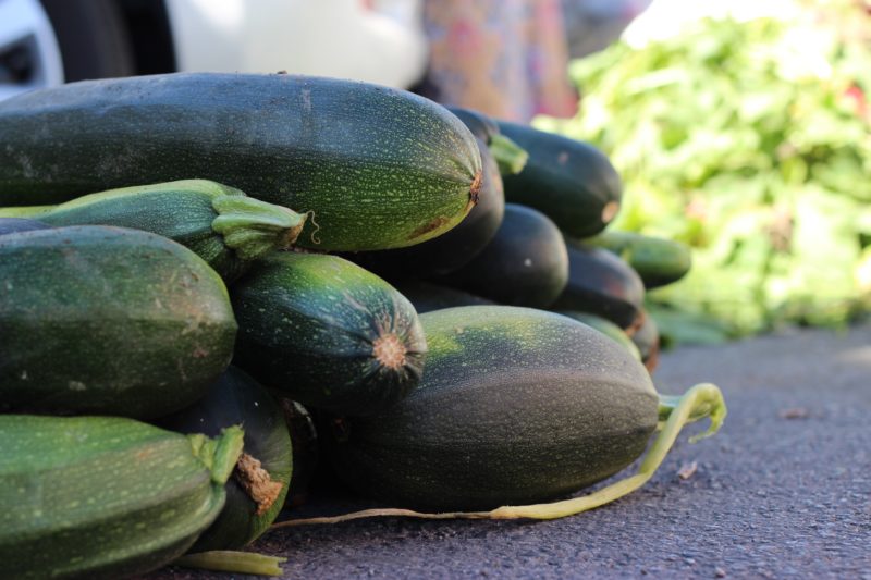 It's that time of year for zucchini ~ Recipe Round-Up!