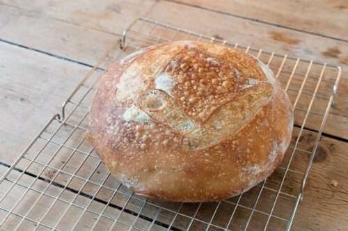 Master the Art of Sourdough with "Easy Sourdough Starter—For Flawless Finished Bread"