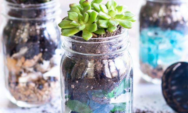 Featuring You ~ Summer Succulent Mason Jar Planters